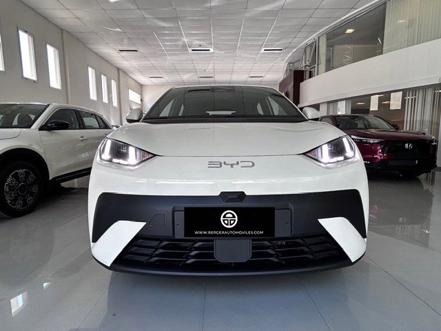 
 BYD Dolphin mini full									