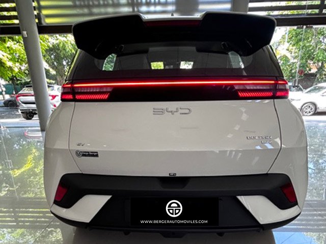 
 BYD Dolphin mini full									