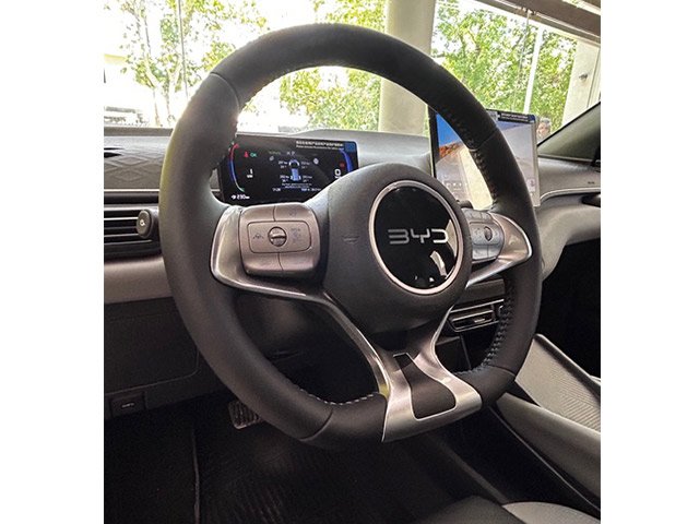 
 BYD Dolphin mini full									