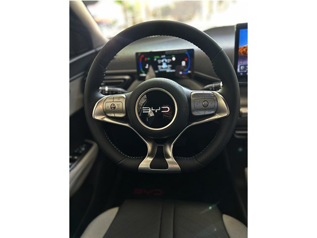 
 BYD Dolphin mini full									