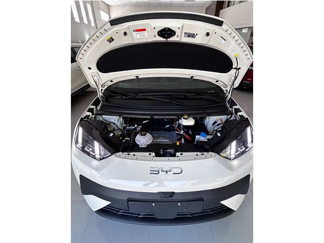 
 BYD Dolphin mini full									