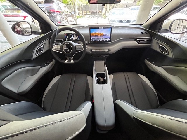 
 BYD Dolphin mini full									