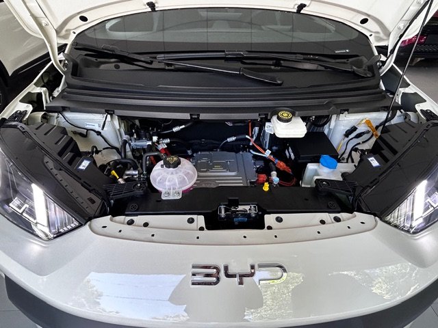 
 BYD Dolphin mini full									