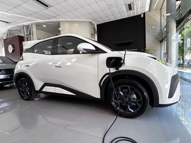 
 BYD Dolphin mini full									