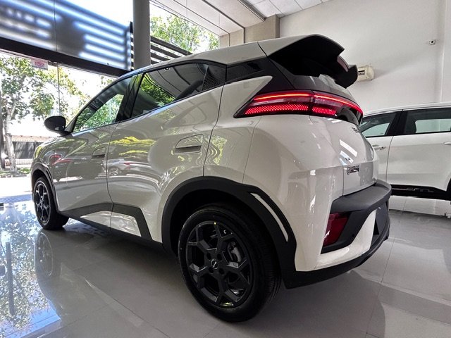 
 BYD Dolphin mini full									