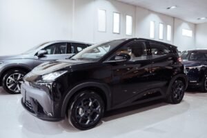 BYD DOLPHIN MINI EV 2026 0km – ENTREGA INMEDIATA
